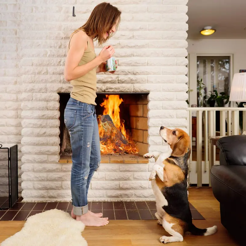 Ventless Ceramic Gas Fireplace Log Set – Realistic 9 or 10-Piece Assembly 2