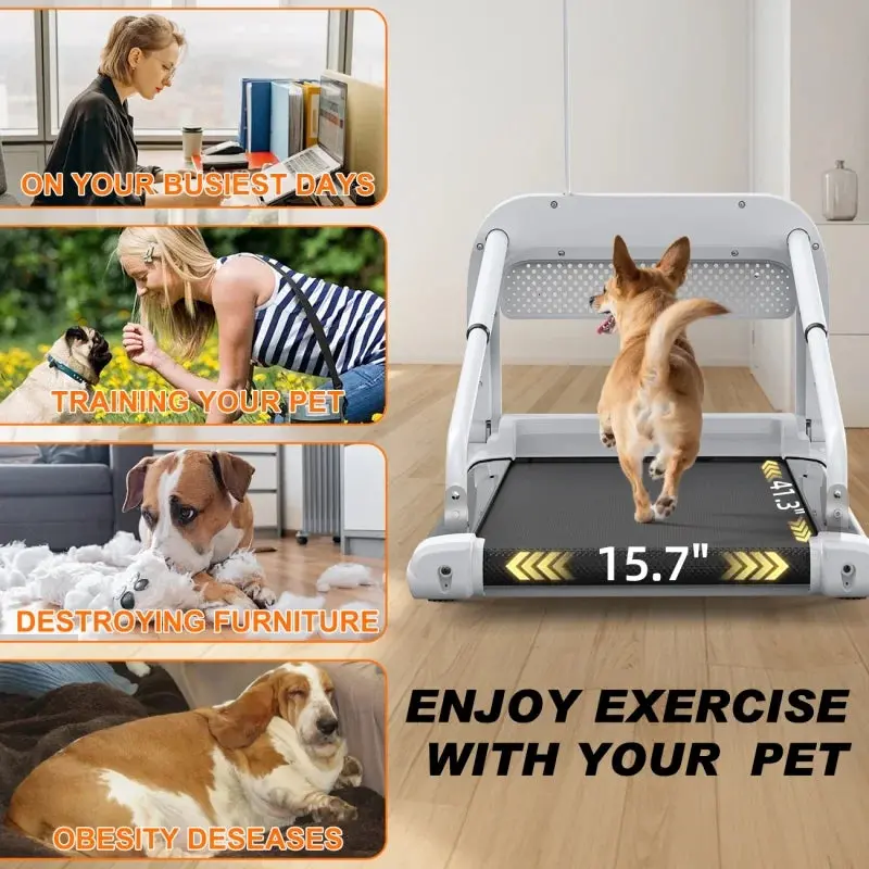 Witaxima 2025 Smart Pet Treadmill – Ultra-Quiet, Speed-Adjustable Runner for Small to Medium Dogs
