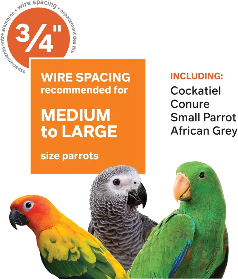 Wrought Iron Bird Cage – Chalk White, 36" x 24" x 66", Model 3154C